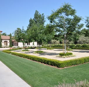 Grand Estate Garden